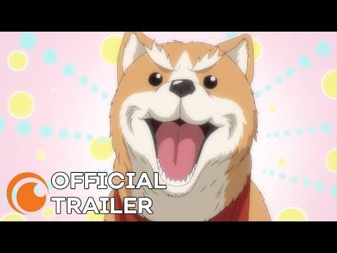 Trailer thumbnail